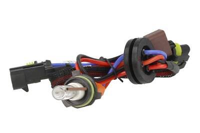 Lampada Hid Xenon P13W 6000K <p style="text-align:center;"> <b>Una PG18.5d-1