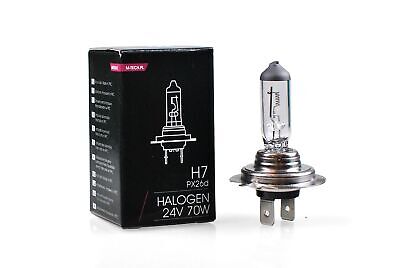 LOTTO DI 10 PEZZI Lampada alogena M-TECH H7 70W 24W