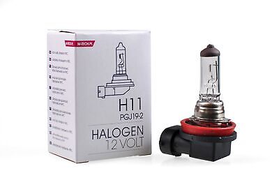 Lampada alogena M-TECH PGJ19-2 12V/55W H11