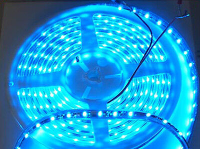 24V Striscia Bobina Led 5 Metri 300 Smd Blue Impermeabile IP67