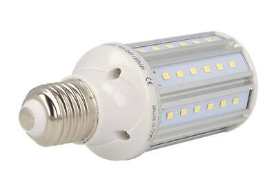 Lampada LED E27 AC/DC 12V 24V 10W Bianco Neutro Per Officina <p