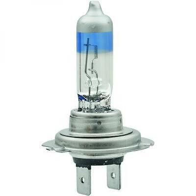Lampadina H7 12V 55W PX26d