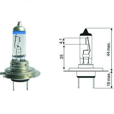 Lampadina H7 12V 55W PX26d +120% luce emessa
