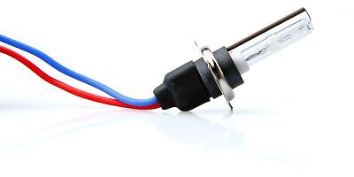 LOTTO DI 2 PEZZI Lampada allo xenon M-TECH H7 8000K