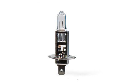 LOTTO DI 10 PEZZI Lampada alogena M-TECH H1 P14.5s 55W 12V