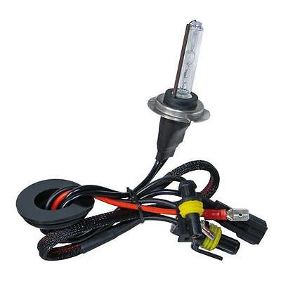 Lampada Lampadina Luce Xeno Xenon HID H7 6000K 35W 12 24V Ricambio METALLO ceram