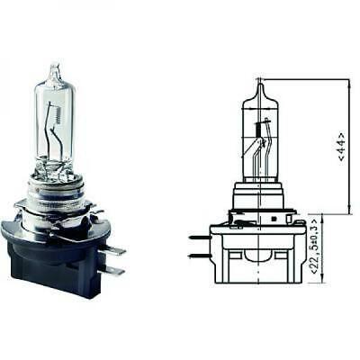 Lampadina H9B 12V 65W PGJY19-5