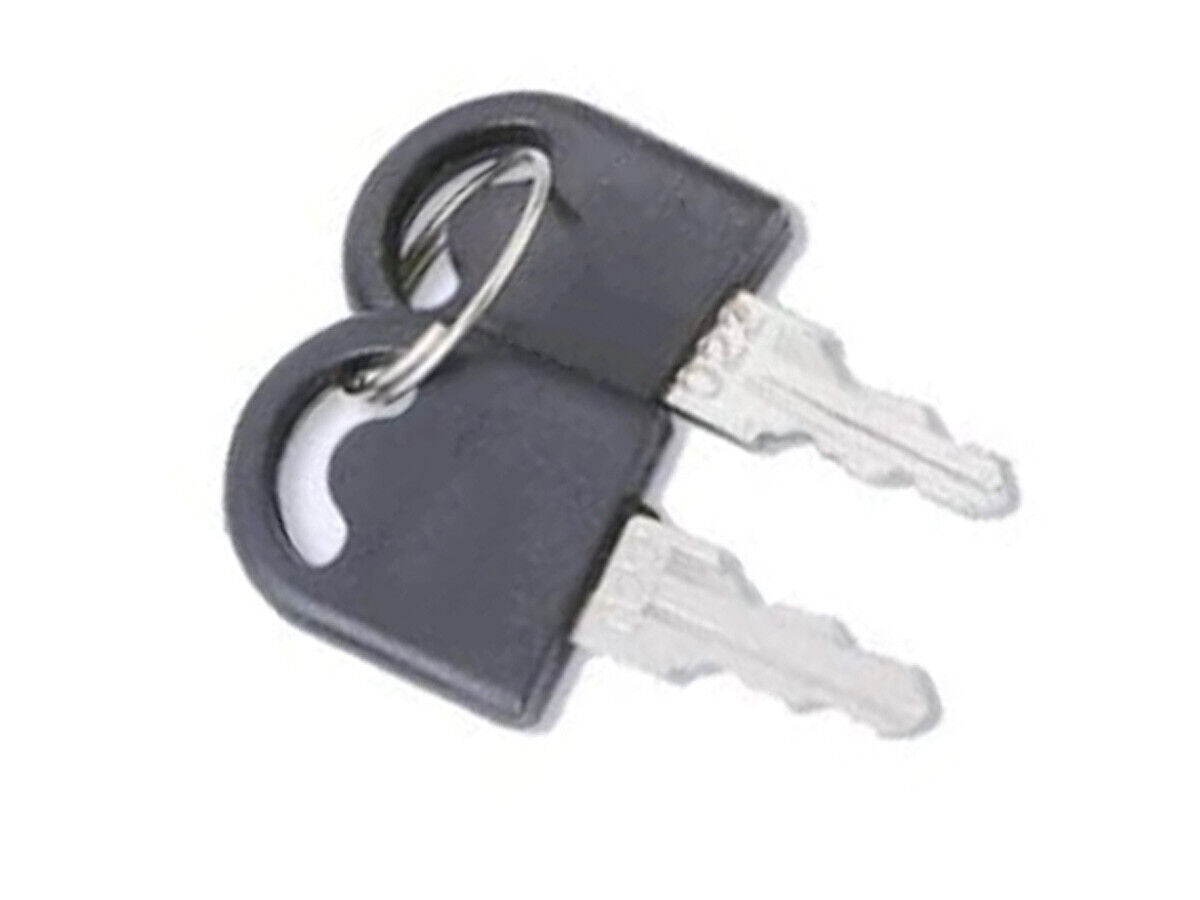 Lucchetto Vetrina Scorrevole Con 2 Chiavi Incluso Serratura Per Terrario <ul>