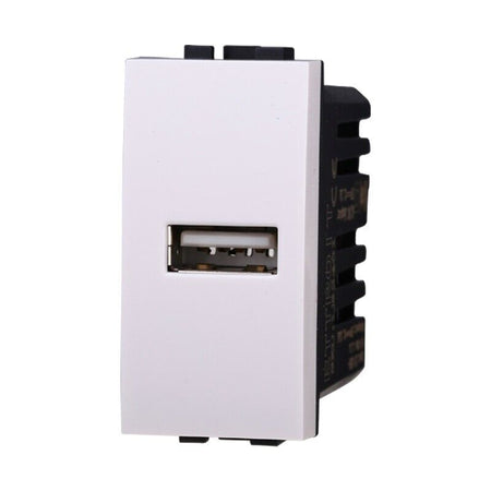 ETTROIT Modulo Presa Caricatore USB 5V 2,1A Colore BIANCO Compatibile Con Bticin