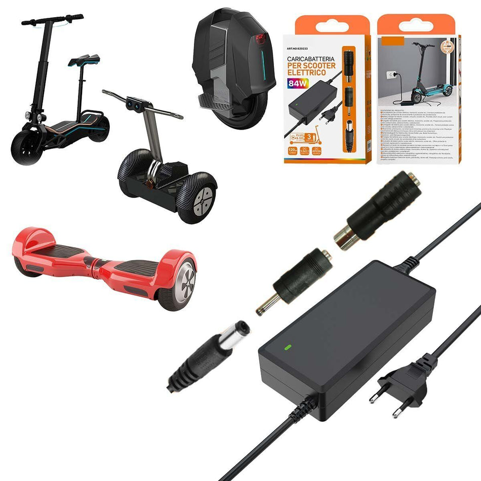 Alimentatore da 42V 2A con Adattatori compatibile Batterie al Litio 36V per