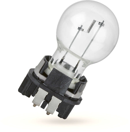 Philips PW16W 12V16W C1