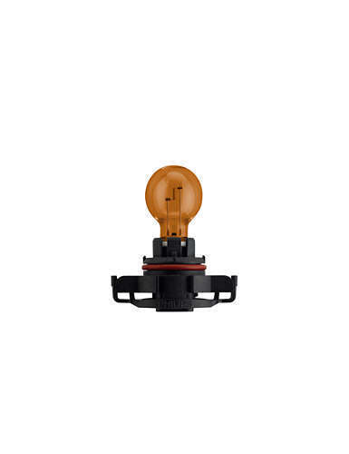 Philips PSY19W 12V19 PG20/2 C1