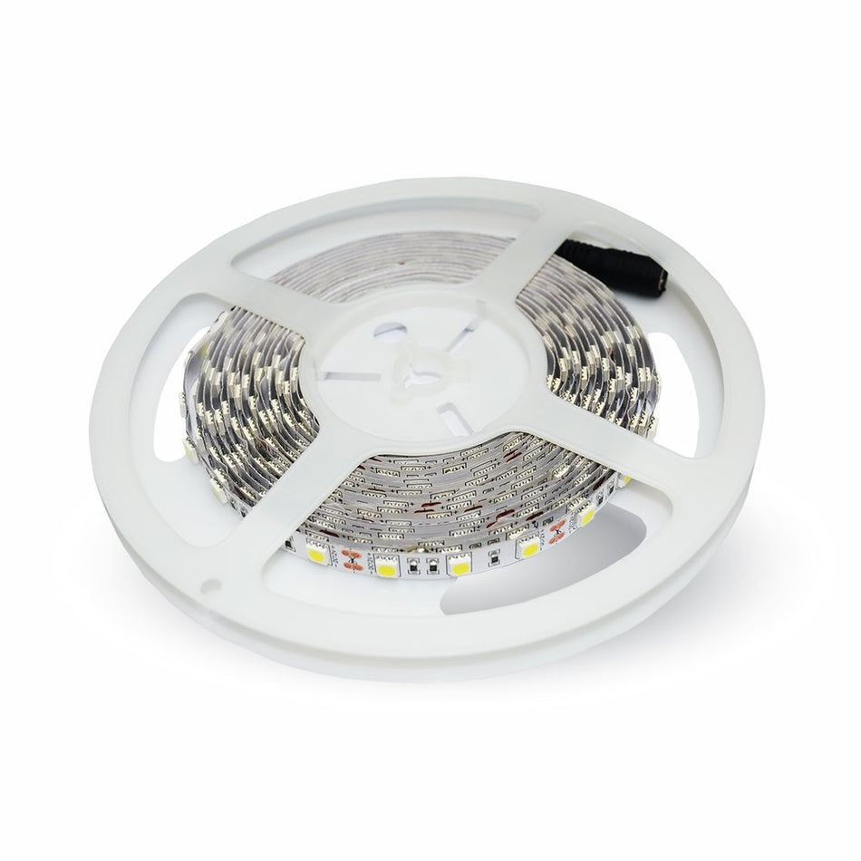 24V Bobina Led 300 SMD 5050 9W/M Bianco Freddo IP20 5 Metri Per Illuminazione