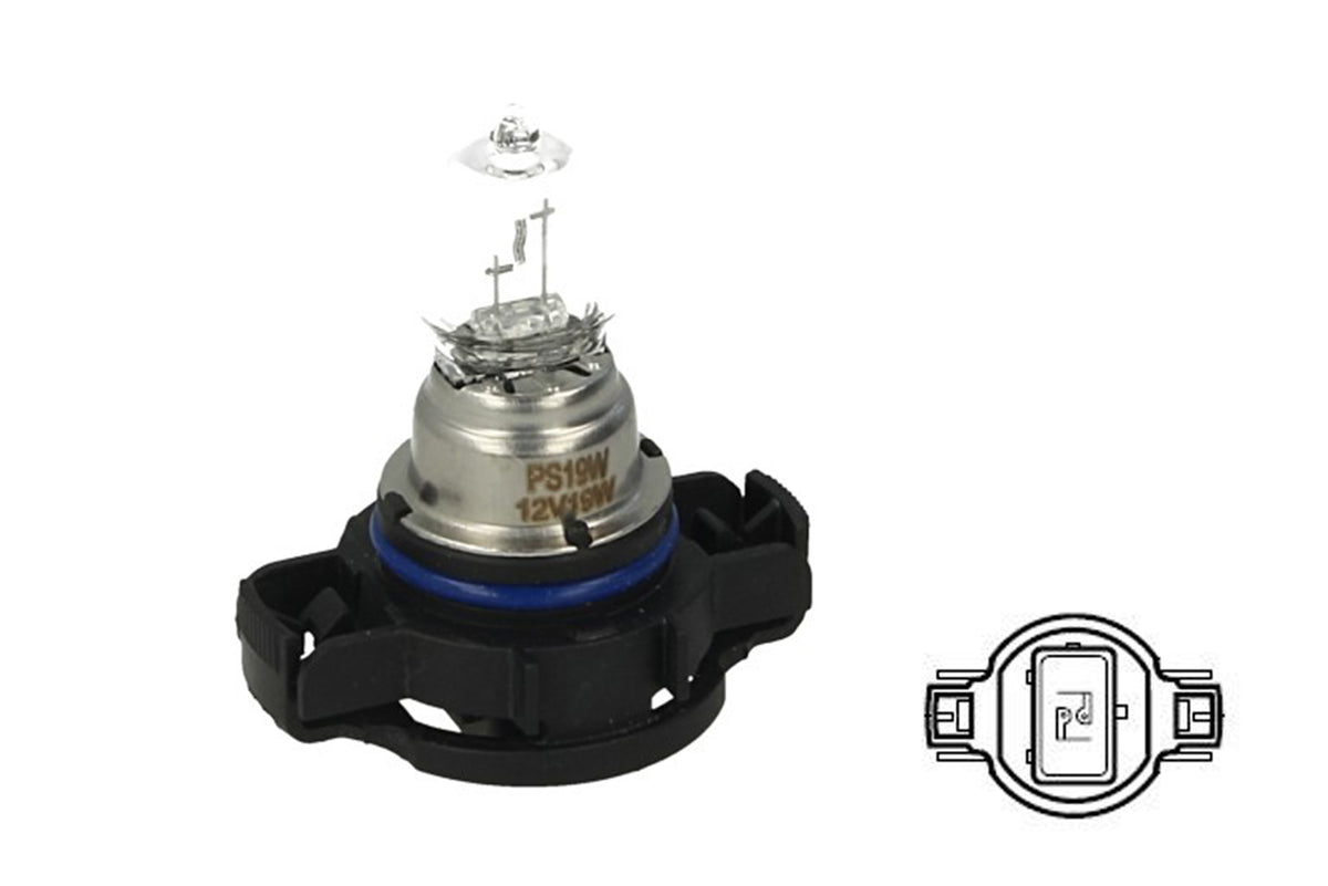 Lampada Alogena PS19W 12V 19W PG20-1 Clear Compatibile  12085LL C1